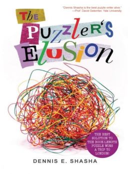 The Puzzler’S Elusion: A Tale Of Fraud, Pursuit, And The Art Of Logic