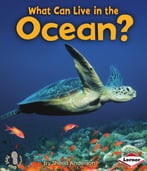 What Can Live In The Ocean?