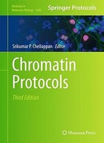 Chromatin Protocols, Third Edition (Methods In Molecular Biology, Book 1288)