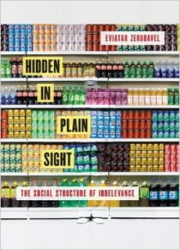 Hidden In Plain Sight: The Social Structure Of Irrelevance