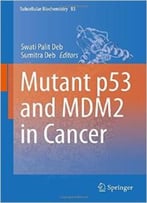 Mutant P53 And Mdm2 In Cancer