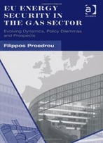 Eu Energy Security In The Gas Sector