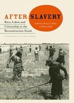 After Slavery: Race, Labor, And Citizenship In The Reconstruction South (New Perspectives On The History Of The South)