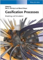 Gasification Processes: Modeling And Simulation