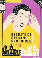 Secrets Of Opening Surprises: V. 6 By Jeroen Bosch