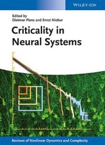 Criticality In Neural Systems
