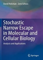 Stochastic Narrow Escape In Molecular And Cellular Biology