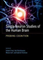 Single Neuron Studies Of The Human Brain