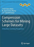Compression Schemes For Mining Large Datasets: A Machine Learning Perspective