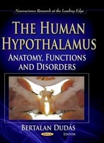 The Human Hypothalamus: Anatomy, Functions And Disorders