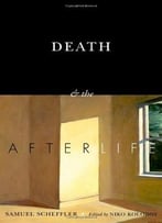 Death And The Afterlife (The Berkeley Tanner Lectures)