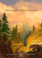 Yellowstone’S Wildlife In Transition