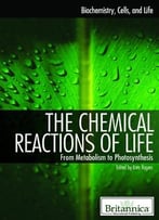 The Chemical Reactions Of Life: From Metabolism To Photosynthesis
