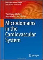 Microdomains In The Cardiovascular System (Cardiac And Vascular Biology)