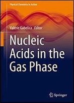 Nucleic Acids In The Gas Phase (Physical Chemistry In Action)