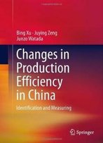 Changes In Production Efficiency In China: Identification And Measuring