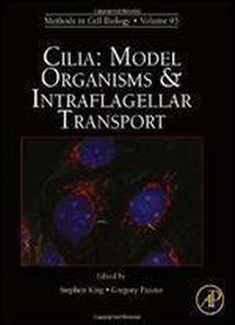 Cilia: Model Organisms And Intraflagellar Transport, Volume 93 (methods In Cell Biology)