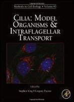 Cilia: Model Organisms And Intraflagellar Transport, Volume 93 (Methods In Cell Biology)