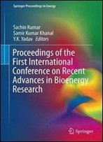 Proceedings Of The First International Conference On Recent Advances In Bioenergy Research (Springer Proceedings In Energy)