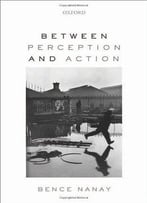Between Perception And Action