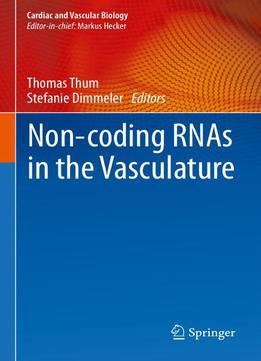 Non-coding Rnas In The Vasculature