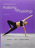 Fundamentals Of Anatomy & Physiology