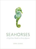 Seahorses: A Life-Size Guide To Every Species