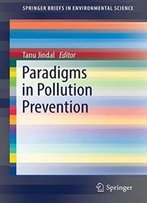Paradigms In Pollution Prevention (Springerbriefs In Environmental Science)