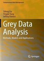 Grey Data Analysis: Methods, Models And Applications (Computational Risk Management)