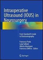 Intraoperative Ultrasound (Ious) In Neurosurgery: From Standard B-Mode To Elastosonography