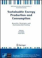 Sustainable Energy Production And Consumption: Benefits, Strategies And Environmental Costing (Nato Science For Peace And Security Series C: Environmental Security)