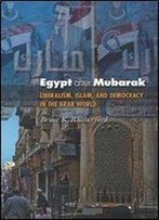 Egypt After Mubarak: Liberalism, Islam, And Democracy In The Arab World (Princeton Studies In Muslim Politics)
