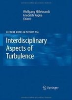 Interdisciplinary Aspects Of Turbulence (Lecture Notes In Physics)