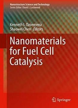Nanomaterials For Fuel Cell Catalysis (nanostructure Science And Technology)