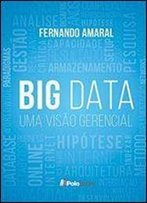 Big Data: Uma Visao Gerencial