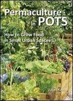 Permaculture In Pots: How To Grow Food In Small Urban Spaces