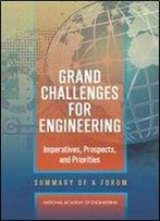 Grand Challenges For Engineering: Imperatives, Prospects, And Priorities