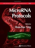 Microrna Protocols (Methods In Molecular Biology)