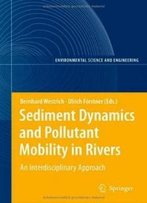 Sediment Dynamics And Pollutant Mobility In Rivers: An Interdisciplinary Approach (Environmental Science And Engineering / Environmental Science)