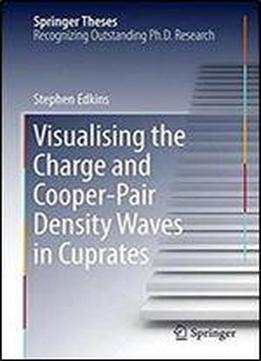 Visualising The Charge And Cooper-pair Density Waves In Cuprates (springer Theses)
