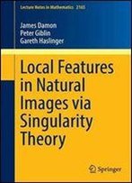 Local Features In Natural Images Via Singularity Theory (Lecture Notes In Mathematics)