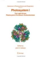 Photosystem I (Advances In Photosynthesis And Respiration)