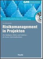Risikomanagement In Projekten Mit Cd-Rom