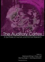 The Auditory Cortex: A Synthesis Of Human And Animal Research