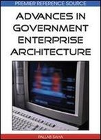 Advances In Government Enterprise Architecture
