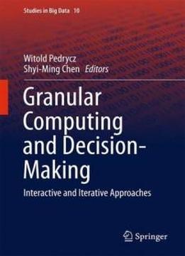 Granular Computing And Decision-making: Interactive And Iterative Approaches (studies In Big Data)