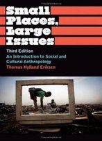 Small Places, Large Issues: An Introduction To Social And Cultural Anthropology, Third Edition (Anthropology, Culture And Society)