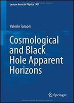 Cosmological And Black Hole Apparent Horizons (Lecture Notes In Physics)