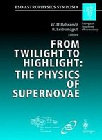 From Twilight To Highlight: The Physics Of Supernovae: Proceedings Of The Eso/Mpa/Mpe Workshop Held At Garching, Germany, 29-31 July 2002 (Eso Astrophysics Symposia)