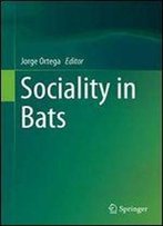 Sociality In Bats